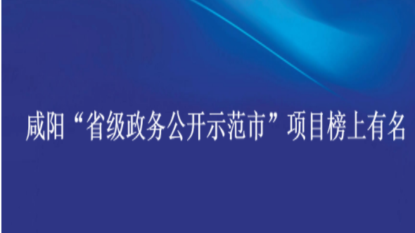 咸陽“省級政務公開示范市”項目榜上有名